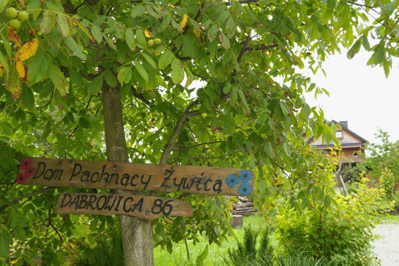 Вилла Dom Pachnacy Zywica Бохня Экстерьер фото